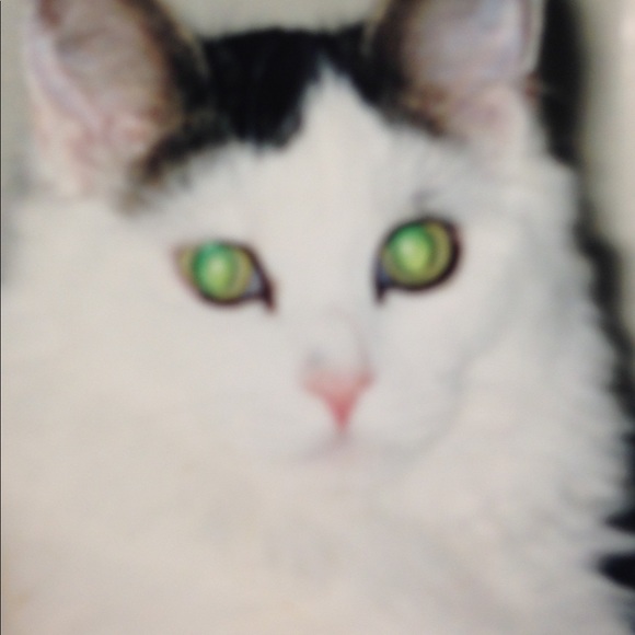 Meet your Posher, Susan - Picture 1 of 1